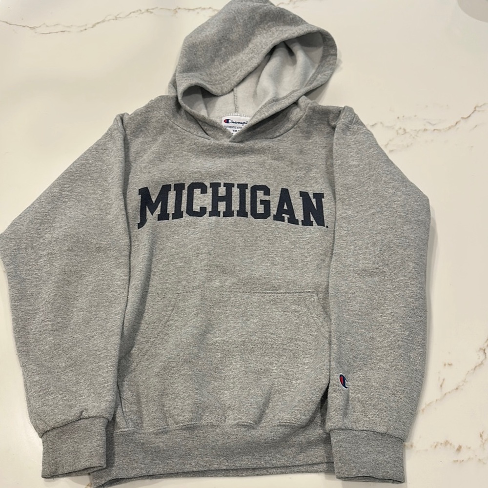 Champion Heather Gray Michigan Pullover Hoodie